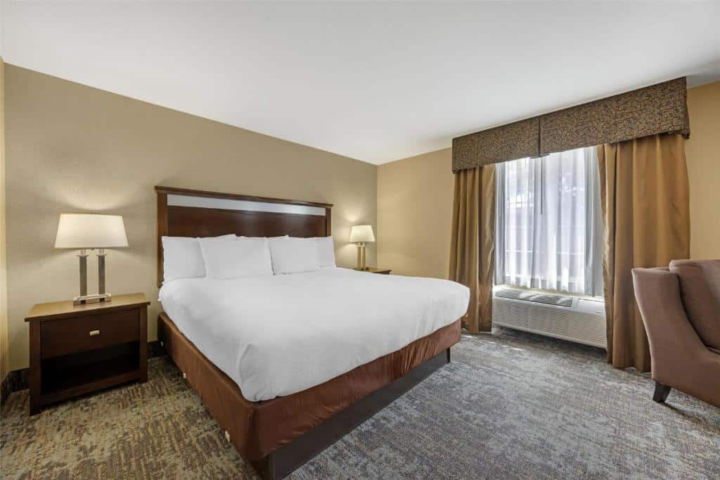 Standard King Room with king bed and modern amenities